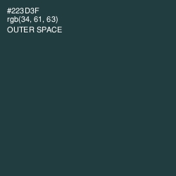 #223D3F - Outer Space Color Image