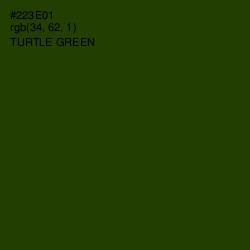 #223E01 - Turtle Green Color Image