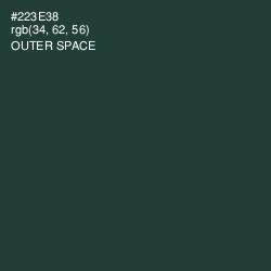 #223E38 - Outer Space Color Image