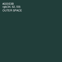 #223E3B - Outer Space Color Image