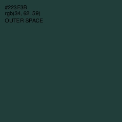 #223E3B - Outer Space Color Image