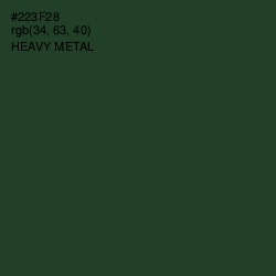 #223F28 - Heavy Metal Color Image