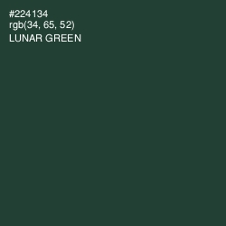 #224134 - Lunar Green Color Image