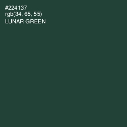 #224137 - Lunar Green Color Image