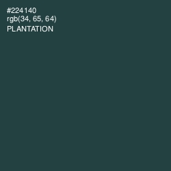 #224140 - Plantation Color Image