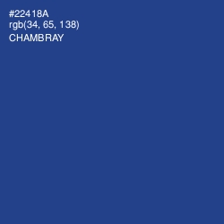 #22418A - Chambray Color Image