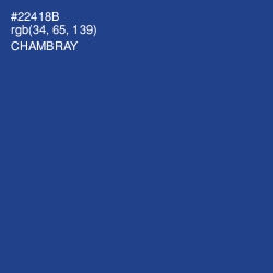 #22418B - Chambray Color Image