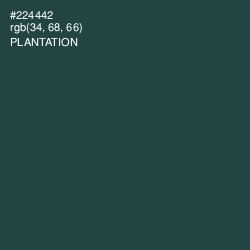 #224442 - Plantation Color Image