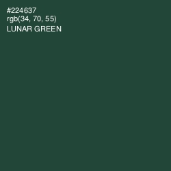 #224637 - Lunar Green Color Image