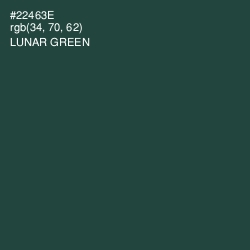 #22463E - Lunar Green Color Image