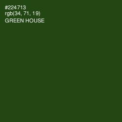#224713 - Green House Color Image