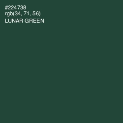 #224738 - Lunar Green Color Image