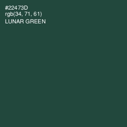 #22473D - Lunar Green Color Image