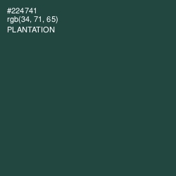 #224741 - Plantation Color Image