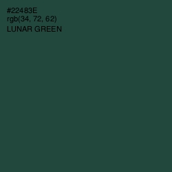 #22483E - Lunar Green Color Image