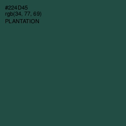 #224D45 - Plantation Color Image