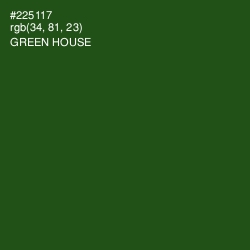#225117 - Green House Color Image