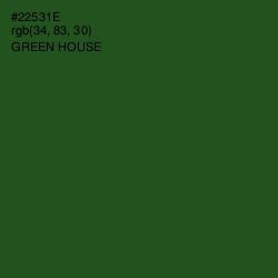 #22531E - Green House Color Image