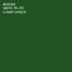 #225323 - Lunar Green Color Image