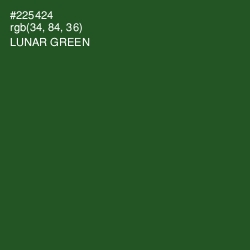 #225424 - Lunar Green Color Image