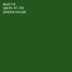 #22571E - Green House Color Image
