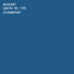 #225A87 - Chambray Color Image