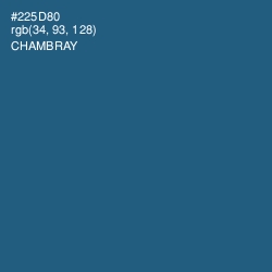 #225D80 - Chambray Color Image