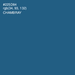 #225D84 - Chambray Color Image