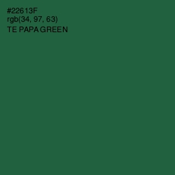 #22613F - Te Papa Green Color Image