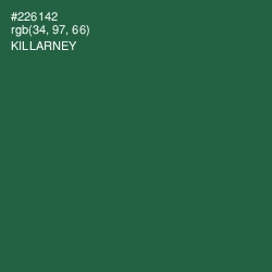 #226142 - Killarney Color Image