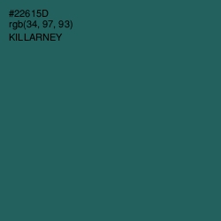 #22615D - Killarney Color Image