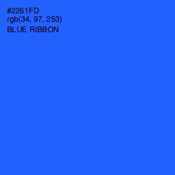 #2261FD - Blue Ribbon Color Image