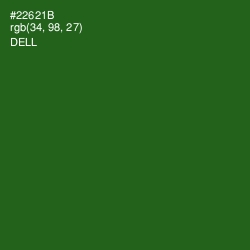 #22621B - Dell Color Image