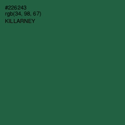 #226243 - Killarney Color Image