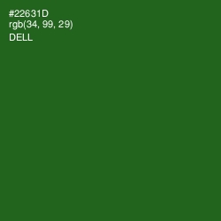 #22631D - Dell Color Image