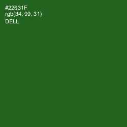 #22631F - Dell Color Image