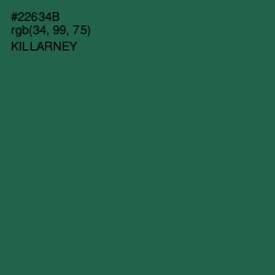 #22634B - Killarney Color Image