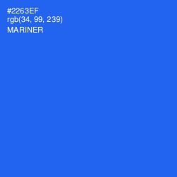 #2263EF - Mariner Color Image