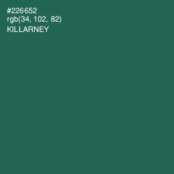 #226652 - Killarney Color Image