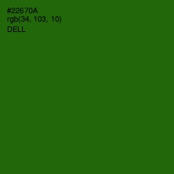 #22670A - Dell Color Image