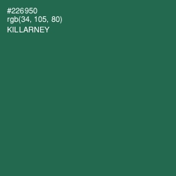 #226950 - Killarney Color Image