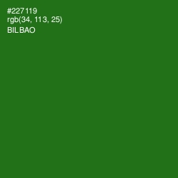 #227119 - Bilbao Color Image