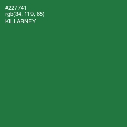 #227741 - Killarney Color Image
