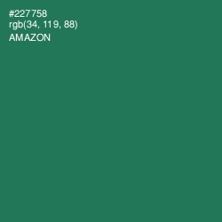 #227758 - Amazon Color Image