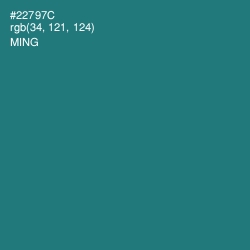 #22797C - Ming Color Image