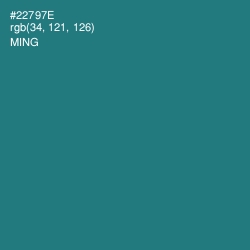 #22797E - Ming Color Image