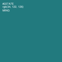 #227A7E - Ming Color Image