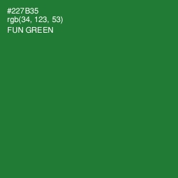 #227B35 - Fun Green Color Image