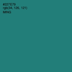 #227E79 - Ming Color Image