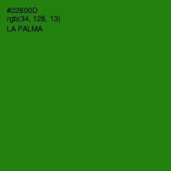 #22800D - La Palma Color Image